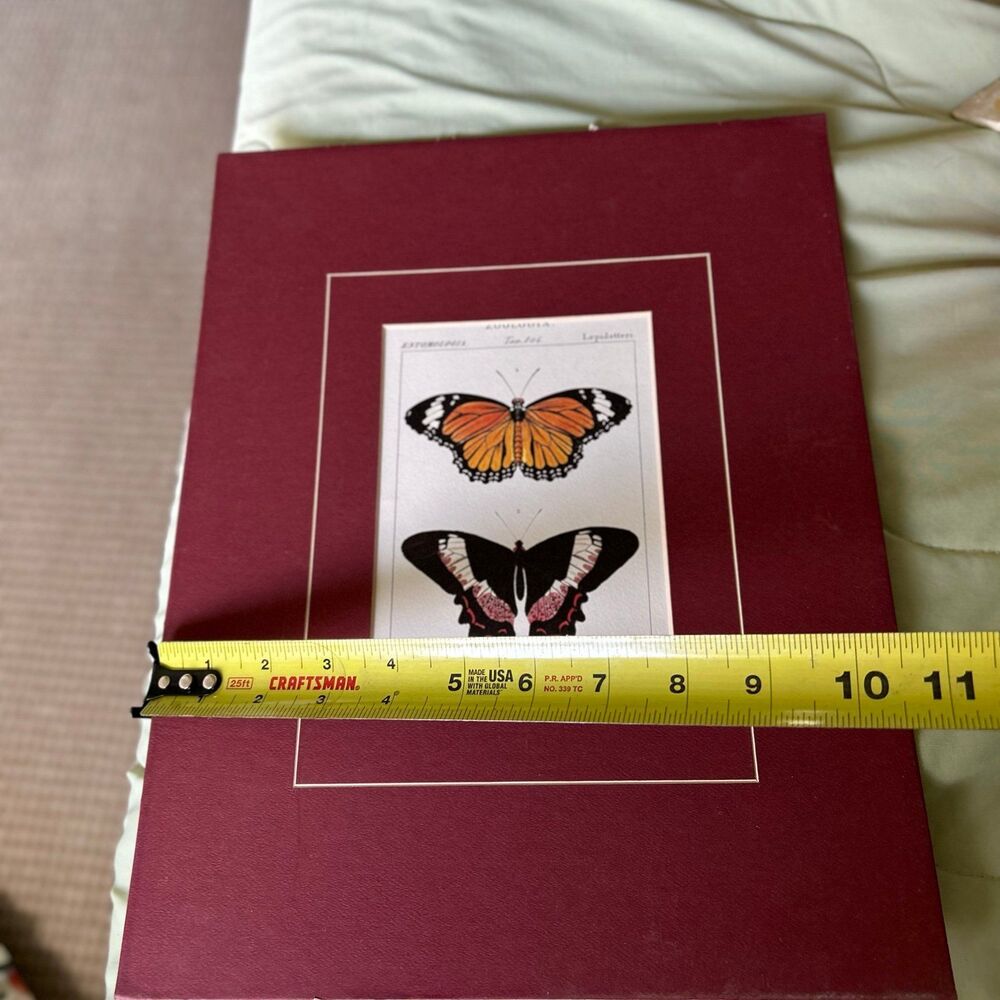❌SOLD - Picture 6 of 7